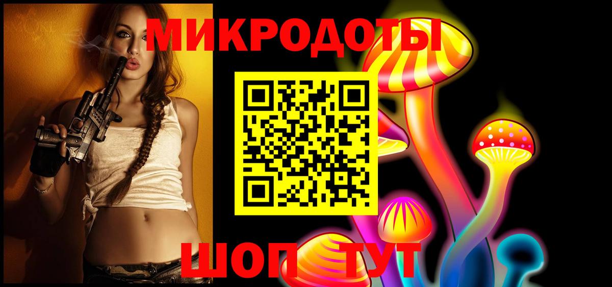 Псилоцибиновые грибы Psilocybine cubensis  Вход с VPN  Карасук 
